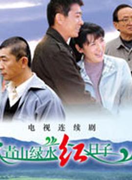 双城故事电视剧
